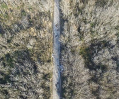 Najczęstsze przyczyny uszkodzeń dróg i jak je zgłaszać